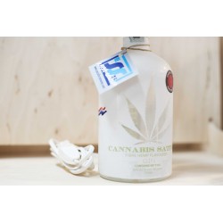 Lampada artigianale bottiglia Cannabis sativa